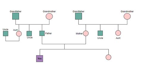 Familiegenogram: gedetailleerde uitleg, type en hoe。